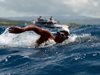 Вълнение отмени плувния маратон до остров Света Анастасия