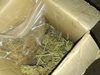 Хванаха дрогиран шофьор в Бургас, в колата му имало 2 кг канабис