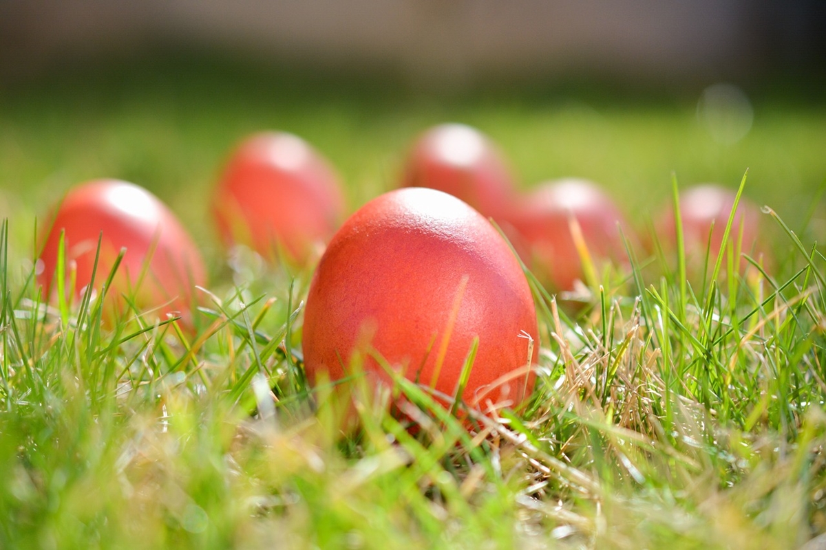 Боядисаха 2024 червени яйца в Бачковския манастир