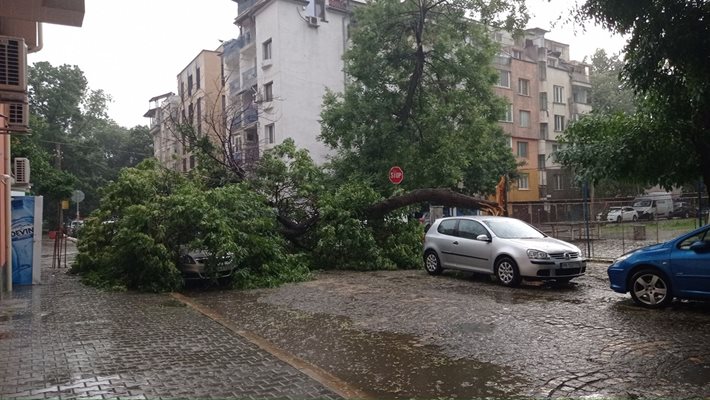 Дърво падна  на кръстовището на ул. "Иван Рилски" и ул. "Средец" в в квартал "Кършияка". Пътят е затворен.