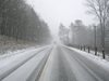 Снежната буря в Германия взе две жертви, отменени са десетки полети