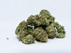 Намериха 160 кг марихуана край бреговете на Хърватия