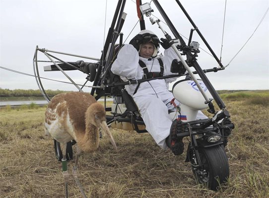 Путин в бял костюм преди полета с делтапланер и ято жерави в Сибир