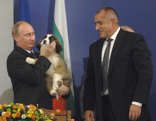 На 15 ноември 2010 г. в София бе подписан договорът за “Южен поток” пред Владимир Путин, който тогава беше премиер. Борисов подари на Путин каракачанска овчарка.