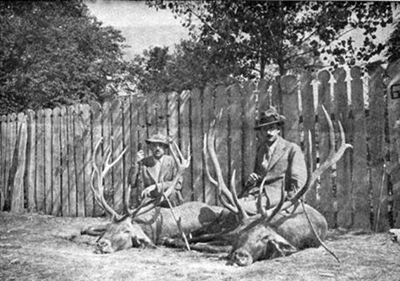 Царят и князът отстрелват елени през септември 1939 г.