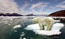 Тръмп лъже за климата: Катаклизъм до 10 години