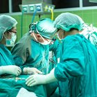 Учени са трансплантирали бъбреци
от прасе на мъж в мозъчна смърт