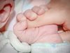 Момиченце е първото бебе на 2018 г.
в болницата в Горна Оряховица