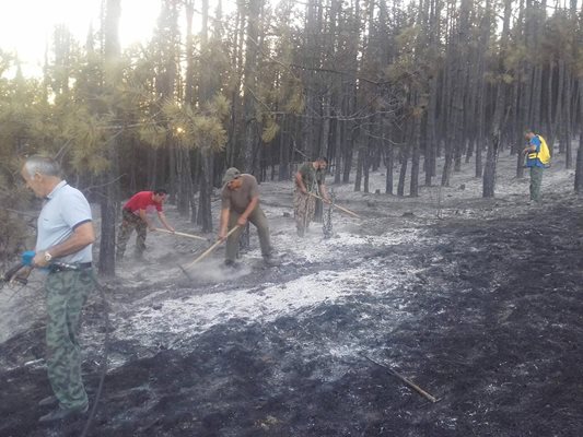 В борбата с пламъците са участвали 113 горски и 92 пожарникари.