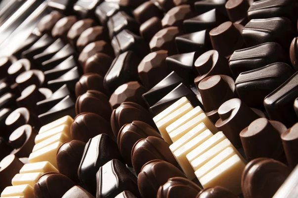 Различни видове шоколад