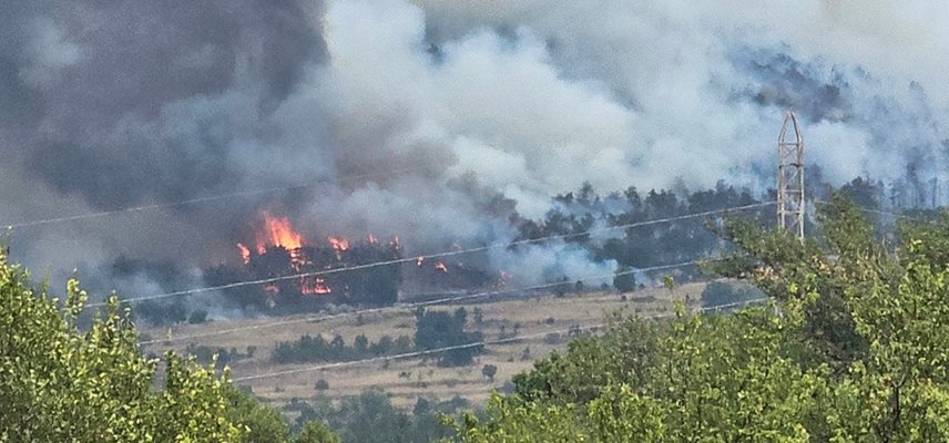 Пожарът край Хисаря не стихва.
Снимка: Фейсбук/Забелязано в Хисаря