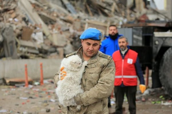 Котка е извадена от руините на бизнес център в Диарбекир