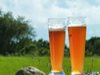 Във Великобритания организират първия бирен фест без 
махмурлук