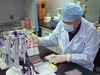 Да се тревожим ли от новия свински грип в Китай?