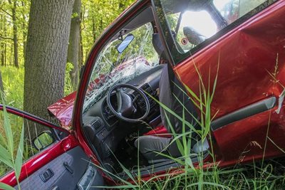 Автомобилът се е ударил в крайпътно дърво СНИМКА: Pixabay