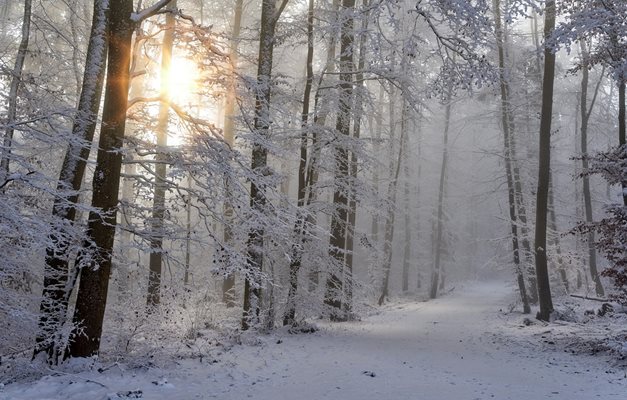 Ветровито и студено време днес, в Пловдив утрото е минус 1°, след обед се вдига до 4°