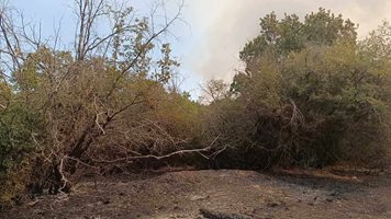 Локализираха пожара в Отец Паисиево, горял 4 дни върху над 10 хиляди декара