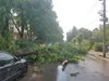 Буря с градушка съсипа Врачанско, бедствено положение в Бяла Слатина (Снимки)