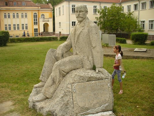 Паметникът на д-р Дамян Иванов е изграден във Вършец през 70-те години на миналия век.