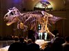 Намериха най-големия отпечатък от динозавър в света в Австралия