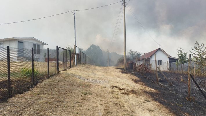 Пожарът нанесе големи щети в района на Отец Пасииево.