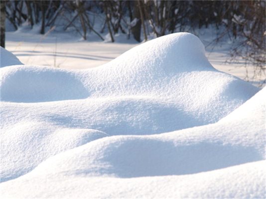 Жълт код заради силен вятър и снеговалеж е обявен за утре за Североизточна България