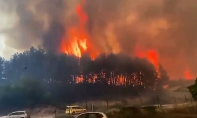 Пламъците не са взели жертви Кадър и видео Ютюб