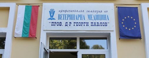 Конкурсите за директори на училища в Добрич приключиха, наред са протестите