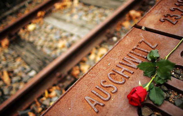 Червена роза е положена върху мемориал на унищожените от нацистите евреи на старата товарна гара в Берлин. Българските политици са опасно близо да оставят такива спомени.

СНИМКА: РОЙТЕРС