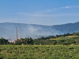 Пожарът бързо се е превърнал в горски.
Снимки: Регионална дирекция "Пожарна безопасност и защита на населението" - Пловдив