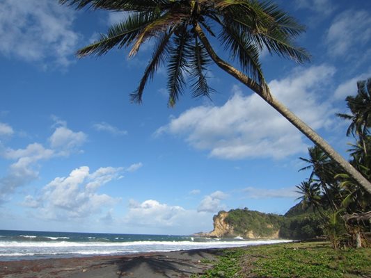 Див плаж, кокосови палми и океан. На това уединено място са заснети някои от незабравимите кадри във втора и трета серия на “Карибски пирати”.