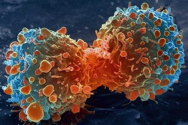 Ракови клетки