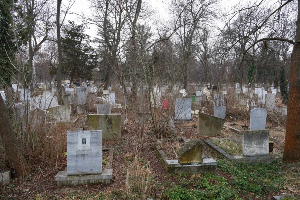 Шефът на гробищата в София: Те са ад - обрасли и кални. Ще направим акция за почистване и ще засилим охраната