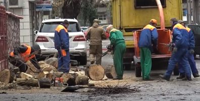 Община Пловдив плаща 2300 лв. за потрошена от рухнало дърво кола