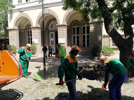 Работници режат клони и събират отпадъци пред Хуманитарната гимназия.