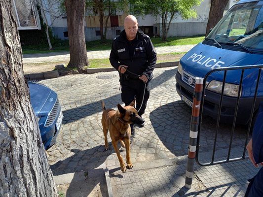 Полицай с куче влиза в СУ "Паисий Хилендарски" в Пловдив на 31 март след отправената заплаха за бомба.