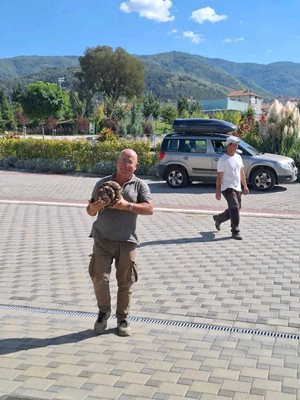 Проф. Вагалински занесе находката в музея на Петрич.