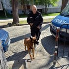 Полицай с куче влиза в СУ "Паисий Хилендарски" в Пловдив на 31 март след отправената заплаха за бомба.
