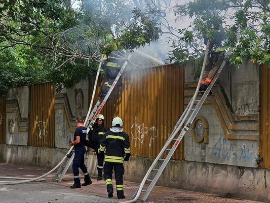 Екипи от Втора и Четвърта служба на пожарната предотвратиха разпространение на огъня. Снимки: Регионална дирекция "Пожарна безопасност и защита на населението" Пловдив