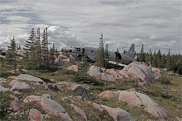 Curtiss C46 Commando, известен под името Мис Пиги, защото можел да побере прилично количество товар, барабар с прасетата. Всички са добре, 1979 г.