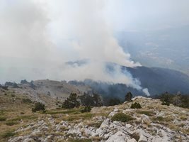 Пожарът в Славянка гори близо 20 дни.