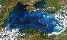 Истината за заразата от Украйна в Черно море