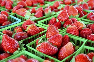 Египет стана четвъртият най-голям доставчик на замразени ягоди за САЩ през 2022 г.
