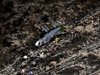 Все още е неизвестна съдбата на 2-рата пилотка на разбилия се в Иран самолет