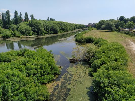 По течението на река Марица има заблатени участъци, които са развъдници на комари.