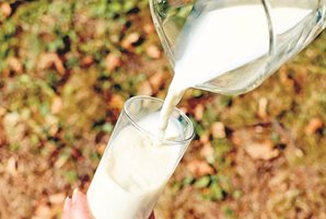 Ще забравим ли вкуса на млякото от животни?