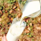 „Наистина няма причина да пиете мляко, освен ако не ви харесва. Но ако ви е грижа за околната среда, трябва да получите нужните хранителните вещества, присъщи за млякото, от други храни“, е позицията на Васанти Малик, професор по хранене в Харвардския университет.