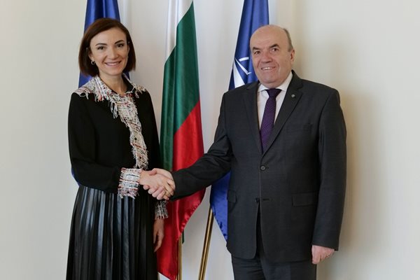 Министърът на външните работи Николай Милков се срещна с посланика на Грузия в България Тамуна Лилуашвили СНИМКА: МВнР
