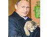 Путин с котенце и на кон в календар