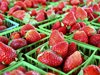 Скандал с български берачи на ягоди в Ирландия заради страх от COVID-19